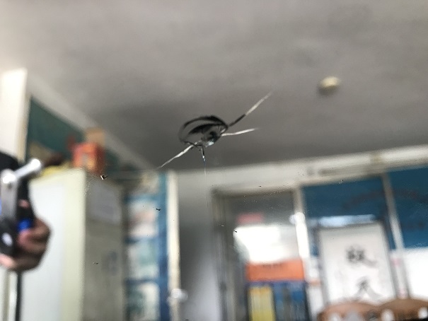 汽車(chē)擋風(fēng)玻璃二次修復(fù)